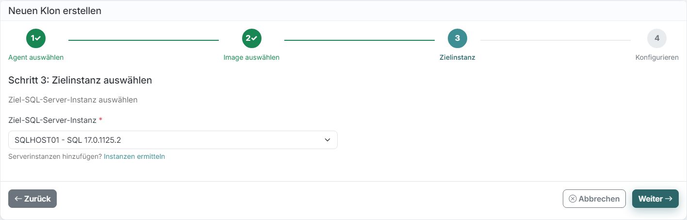 DataTamed Klon-Assistent, Schritt 3: Zielinstanz auswählen
