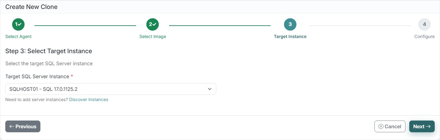 DataTamed clone wizard, step 3: Choose the target instance
