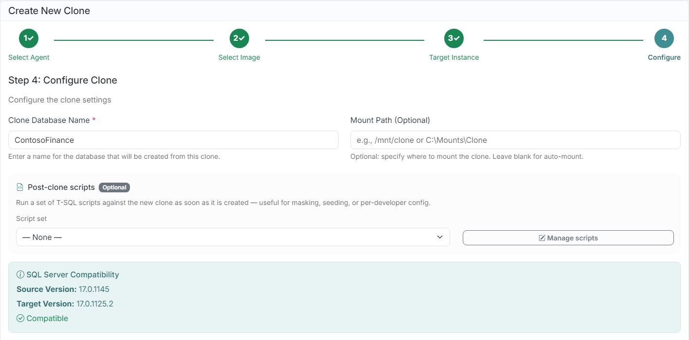 DataTamed clone wizard, step 4: Name it and create